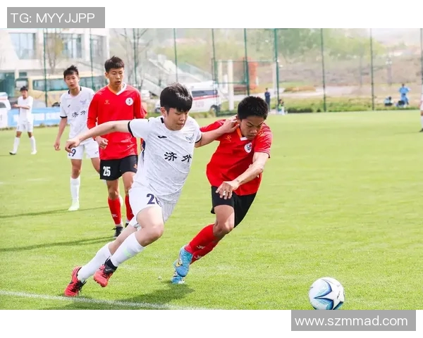 足球文化的传承与创新：全球视野下的足球精神与球迷文化发展探索