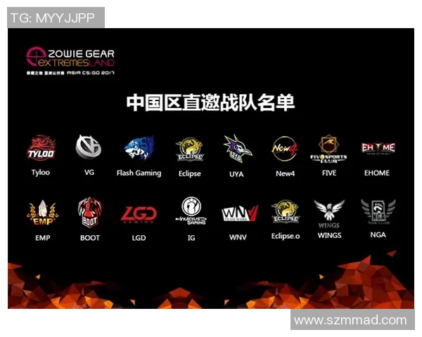 CSGO战术解析：IG战队如何构建高效的控制体系与团队协作