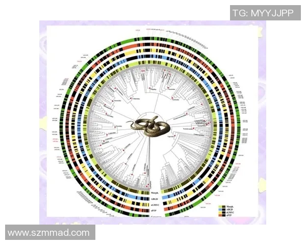 以换人为核心推动球队发展与战术调整的策略探索