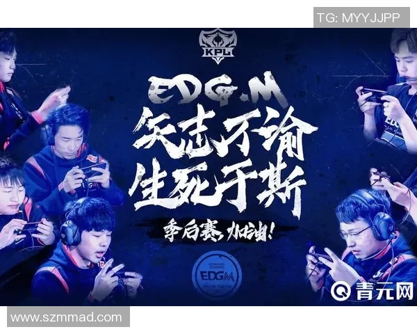 数据分析揭示EDG战队在比赛中的意识表现与策略调整效果