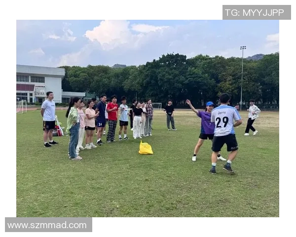 飞盘竞技中的团队精神与协作策略分析：上海飞盘队的成功经验分享