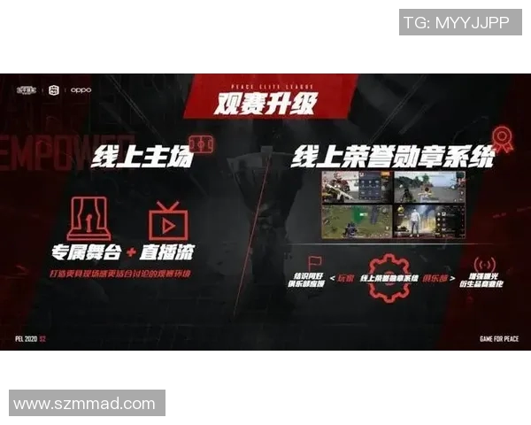 CSGO赛事分析：WE战队创下历史新高的比赛经验与表现探讨